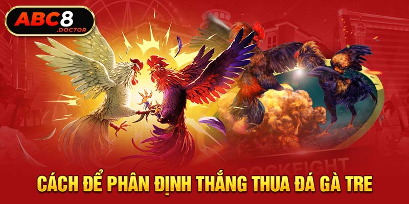 Cách để phân định thắng thua đá gà tre